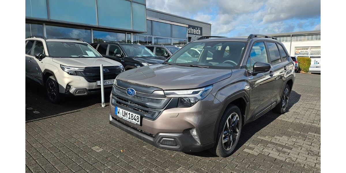 Subaru Forester 4.000 km 39.330 &euro; Wuppertal 42329