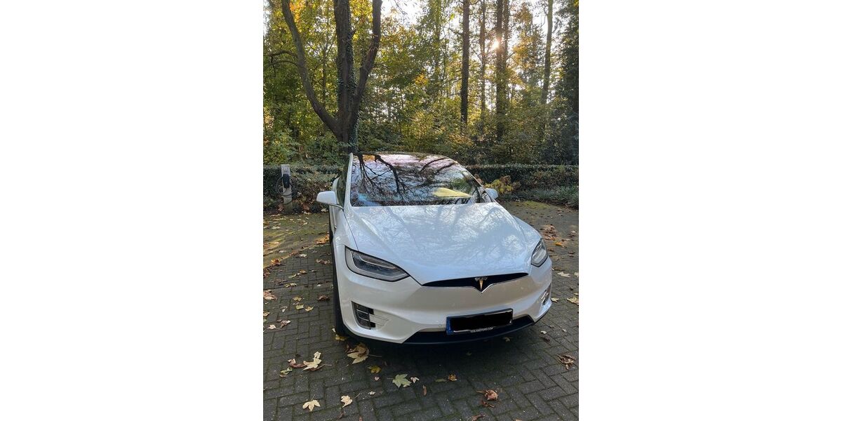 Tesla Model X 126.213 km 25.000 &euro; Erkrath 40699