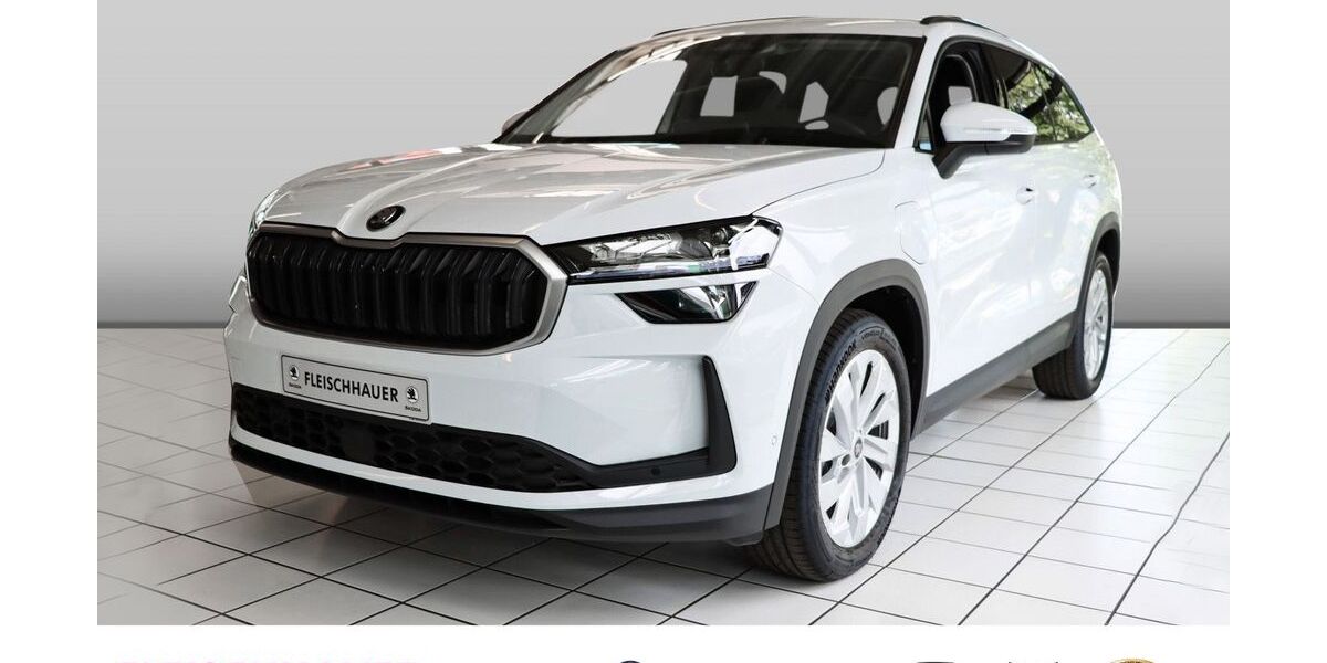 Skoda Kodiaq 11.500 km 48.770 &euro; Bonn 53119
