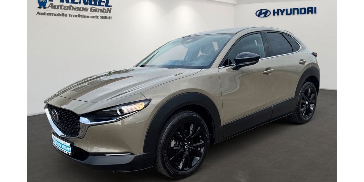 Mazda CX-3 11.950 km 25.980 &euro; Werther 99735