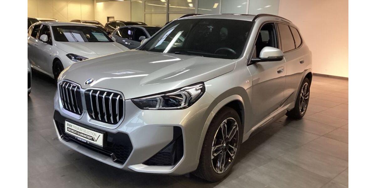 BMW X1 11.400 km 39.833 &euro; Pleisweiler-Oberhofen 76889