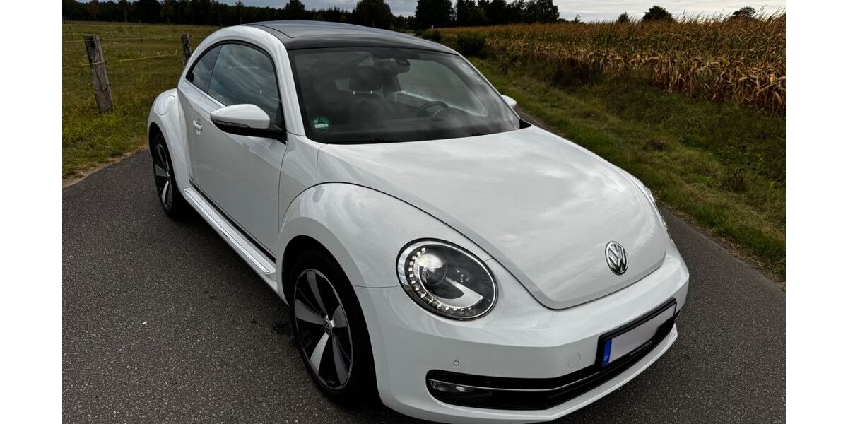 VW Beetle 119.500 km 9.300 &euro; Vierhöfen 21444