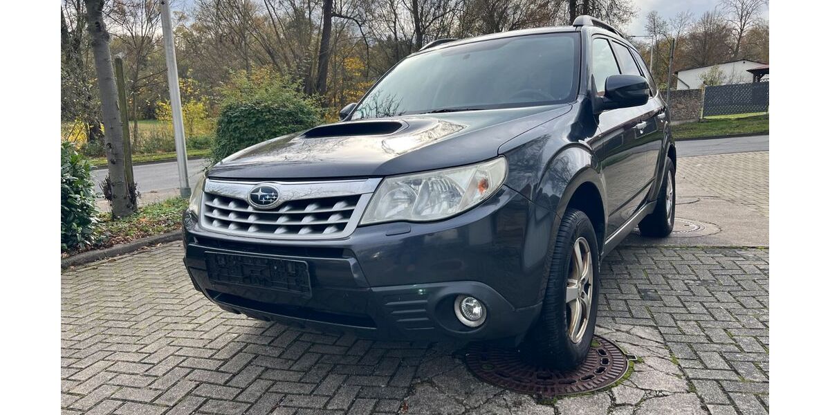 Subaru Forester 311.000 km 2.450 &euro; Göttingen 37081