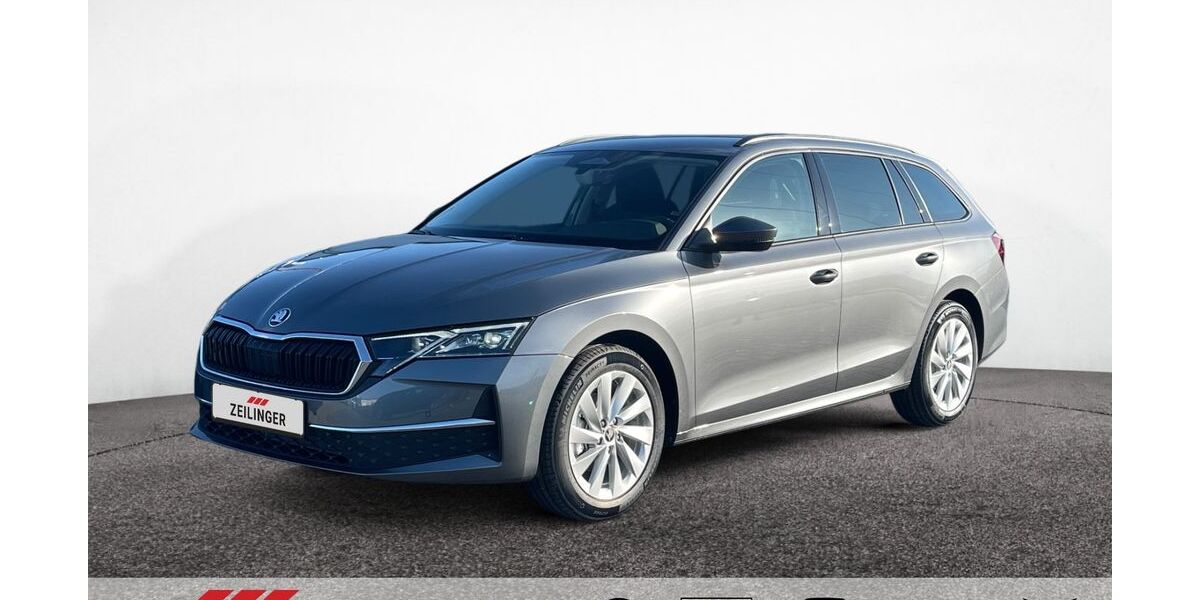 Skoda Octavia 1.020 km 30.795 &euro; Dietersheim 91463