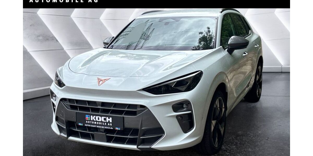 Cupra Terramar 1.100 km 34.990 &euro; Berlin 12681