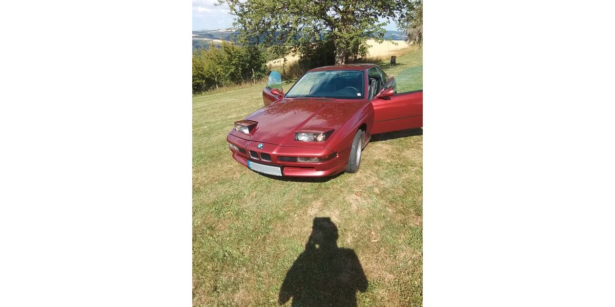 BMW 850 167.000 km 22.900 &euro; Waldhof 54673