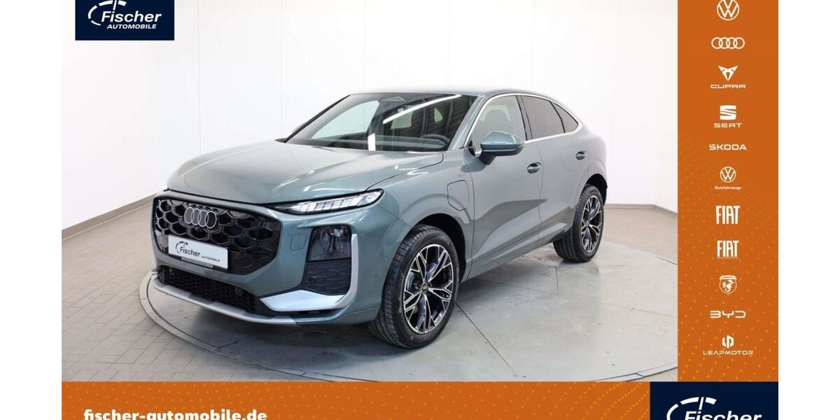 Audi Q3 3.000 km 51.980 &euro; Ursensollen 92289