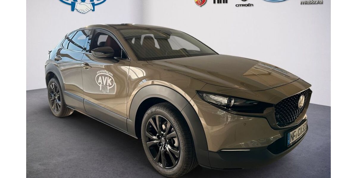 Mazda CX-3 1.350 km 29.990 &euro; Husum 25813