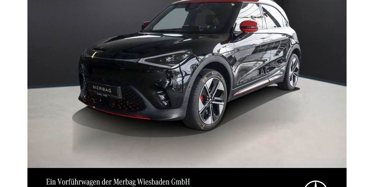 Smart #1 9.300 km 40.890 &euro; Wiesbaden 65189