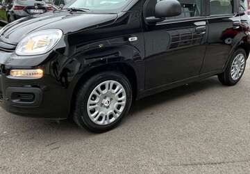 Fiat Panda 1.500 km 14.490 &euro; Bünde 32257