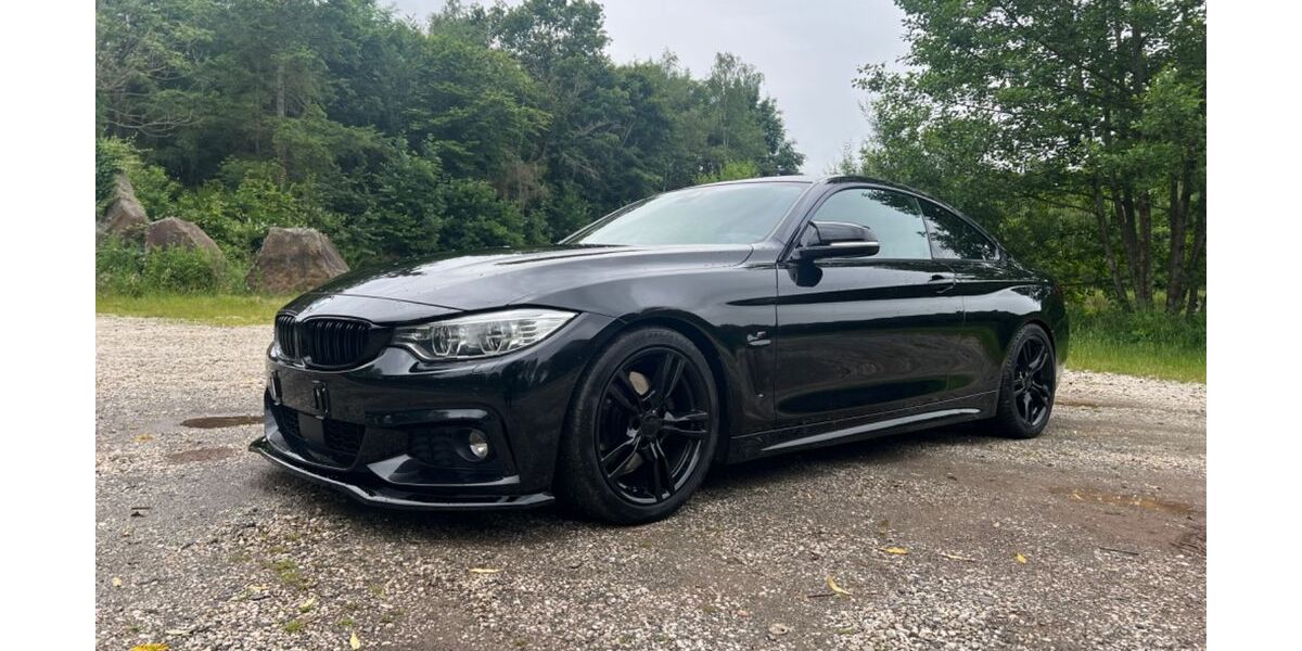 BMW 428 217.000 km 18.990 &euro; Großlittgen 54534
