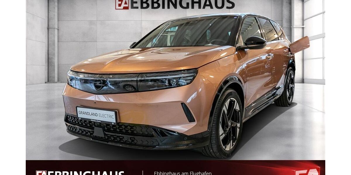 Opel Grandland (X) 4.001 km 41.999 &euro; Dortmund 44289