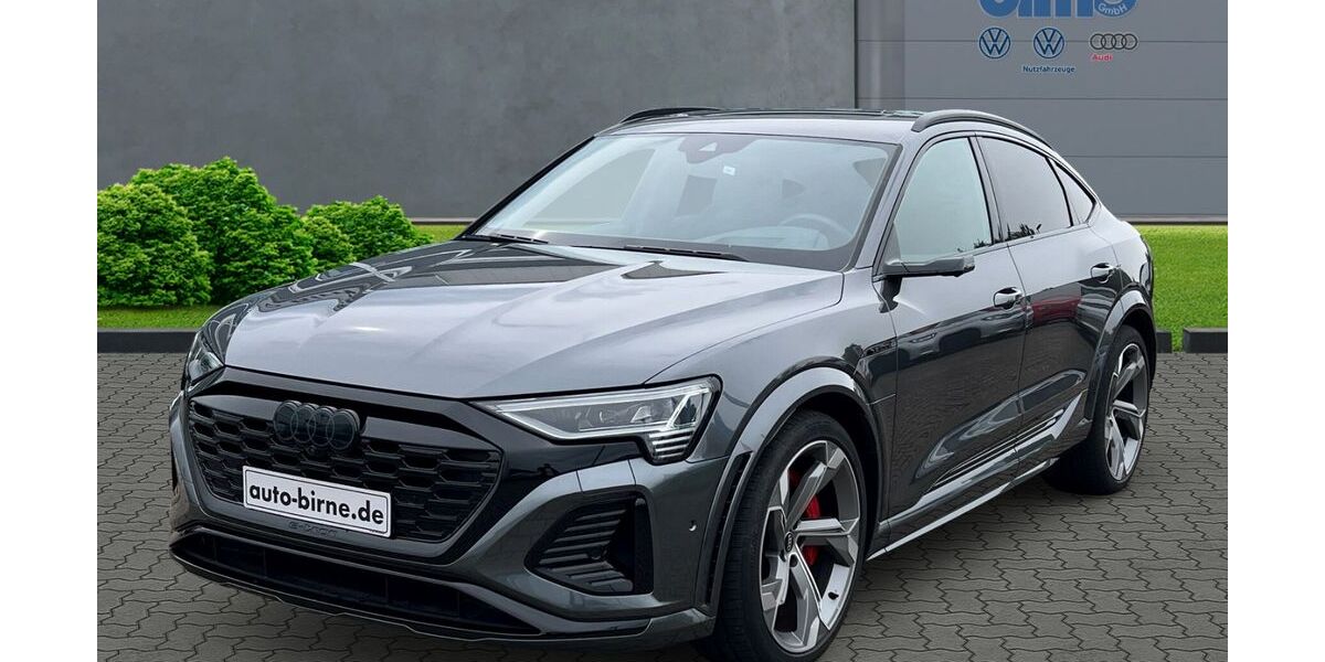 Audi SQ8 e-tron 29.352 km 80.880 &euro; Bad Doberan 18209