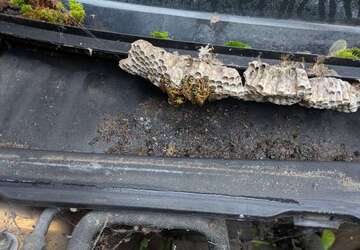 Peugeot 106 10.309 km 200 &euro; Hochkirchen (Nörvenich) 52388