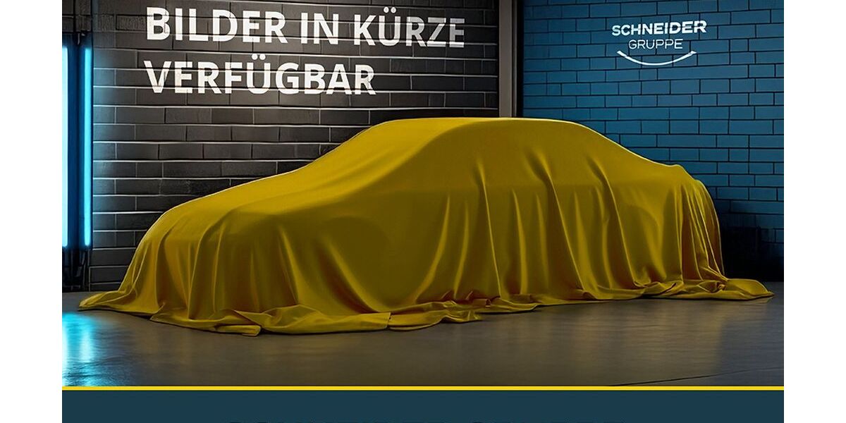 Renault Austral 2.000 km 30.890 &euro; Plauen 08525