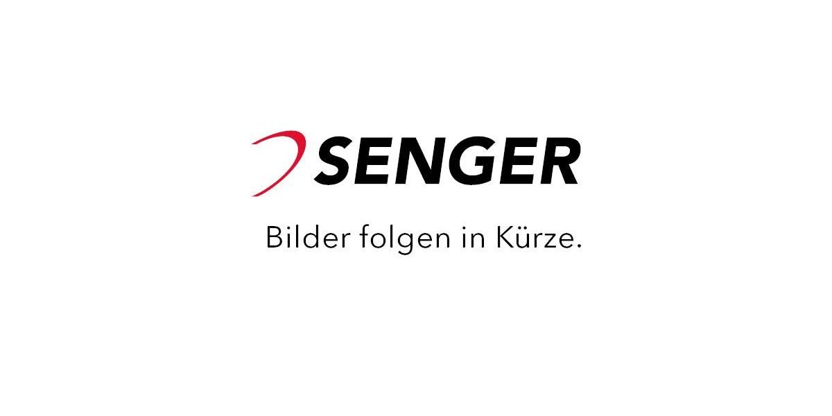 Skoda Enyaq 5.000 km 58.440 &euro; Bad Segeberg 23795
