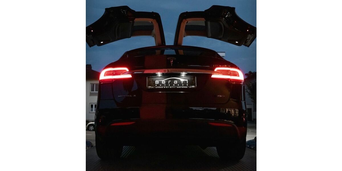 Tesla Model X 76.000 km 57.950 &euro; Ludwigshafen 67063