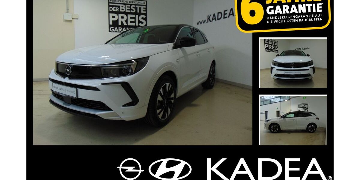 Opel Grandland (X) 3.000 km 34.550 &euro; Berlin Tempelhof 12103