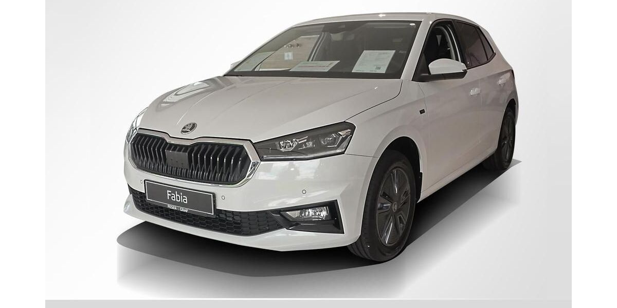 Skoda Fabia 10.000 km 20.490 &euro; Forchheim 91301
