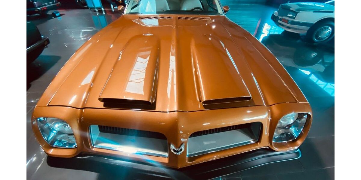 Pontiac Firebird 29.000 km 28.900 &euro; Giengen 89537