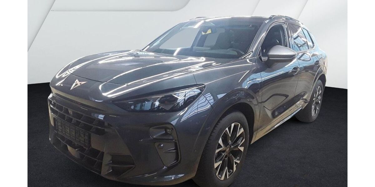 Cupra Terramar 17.392 km 39.949 &euro; Barntrup 32683