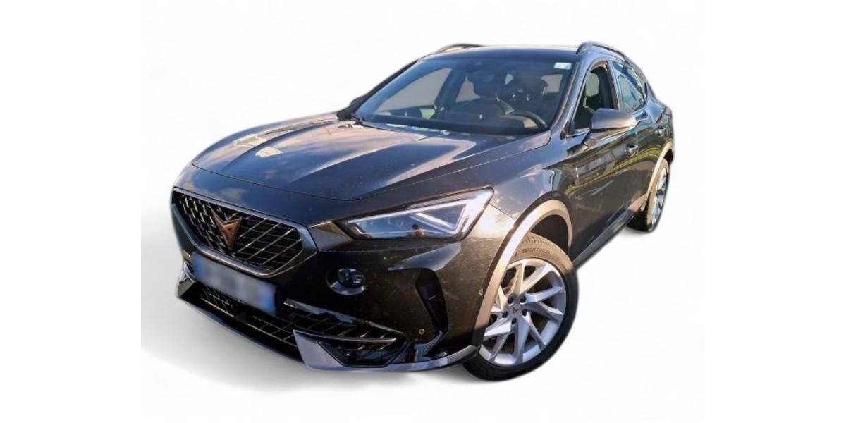 Cupra Formentor 73.269 km 24.999 &euro; Ergolding 84030