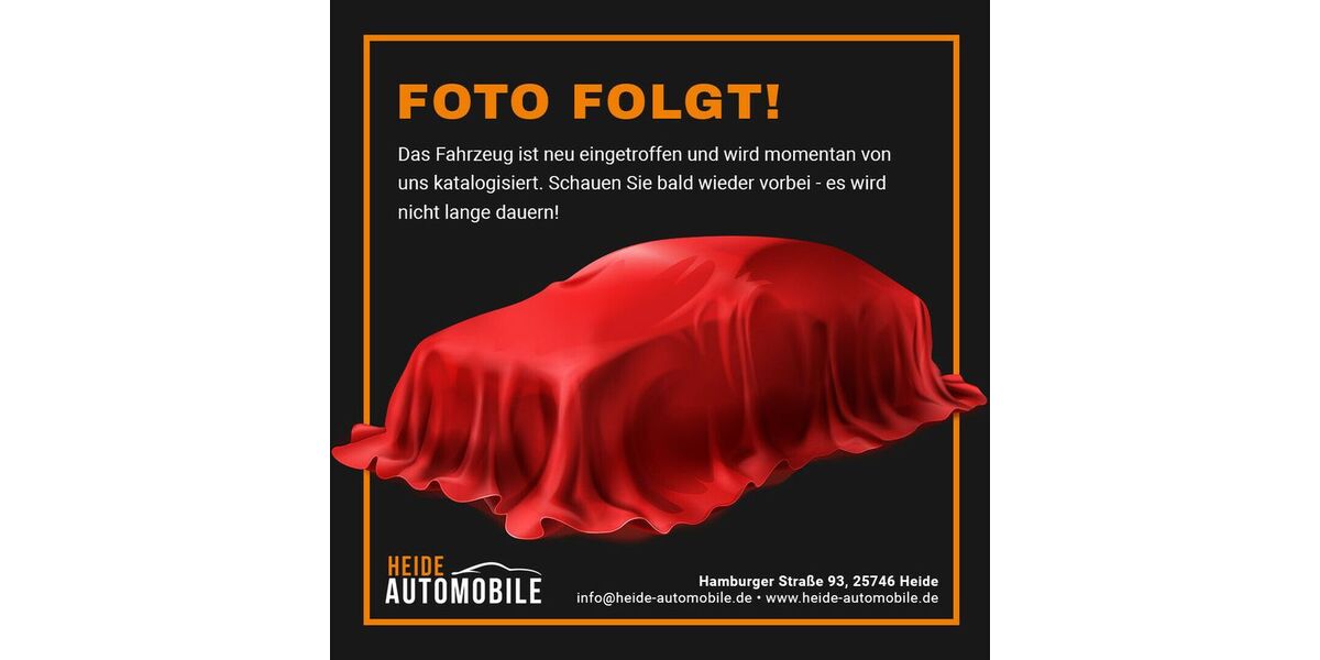 Tesla Model 3 95.000 km 25.990 &euro; Heide 25746