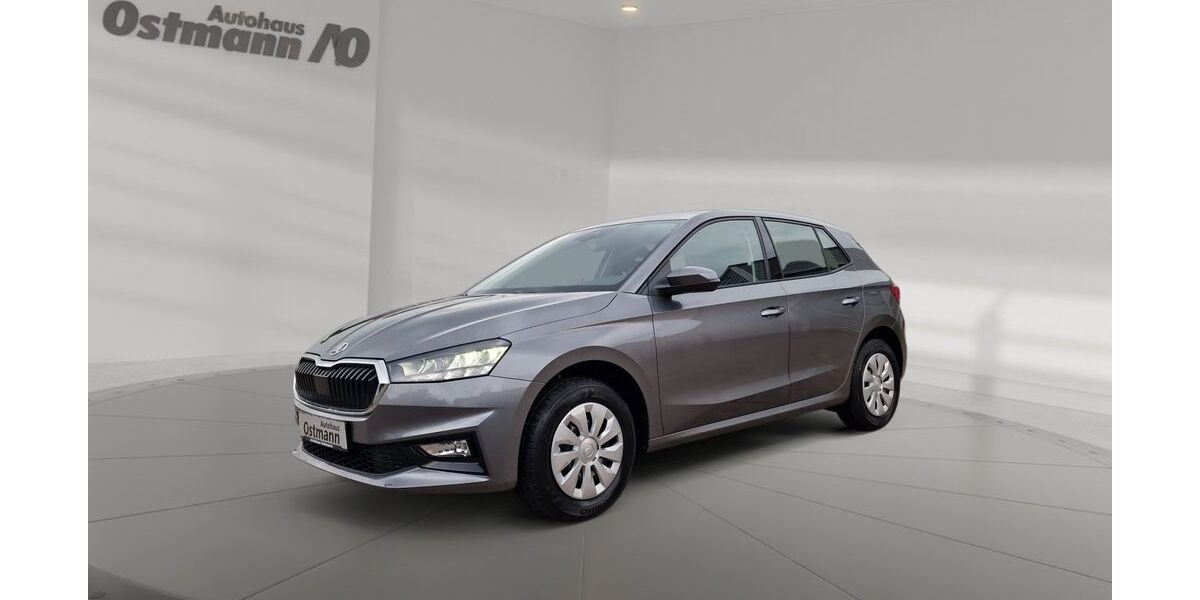 Skoda Fabia 3.000 km 19.440 &euro; Bad Arolsen 34454