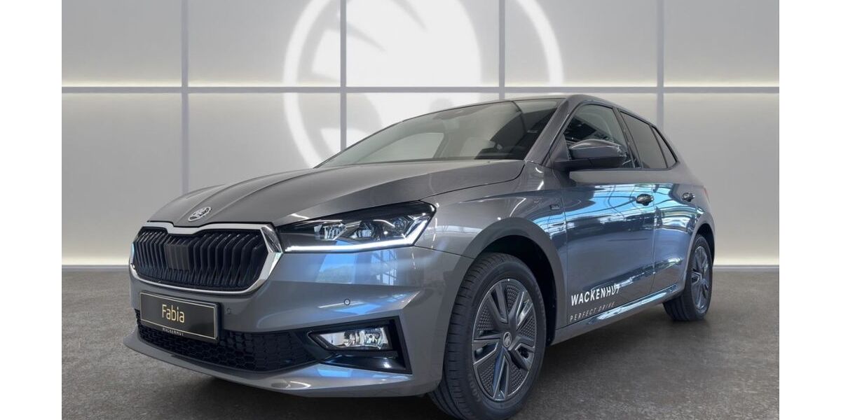 Skoda Fabia 8.000 km 19.900 &euro; Nagold 72202