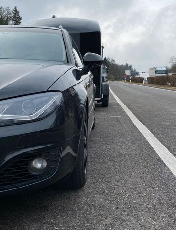 Gebrauchte Seat Exeo