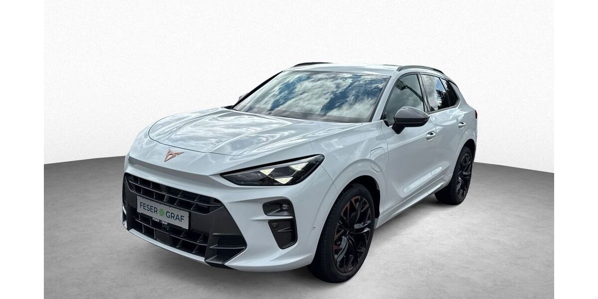 Cupra Terramar 9.999 km 52.990 &euro; Roth 91154