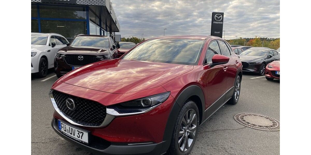 Mazda CX-30 4.300 km 33.460 &euro; Zirndorf 90513