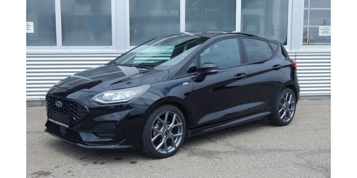 Ford Fiesta 17.800 km 17.990 &euro; Schramberg 78713