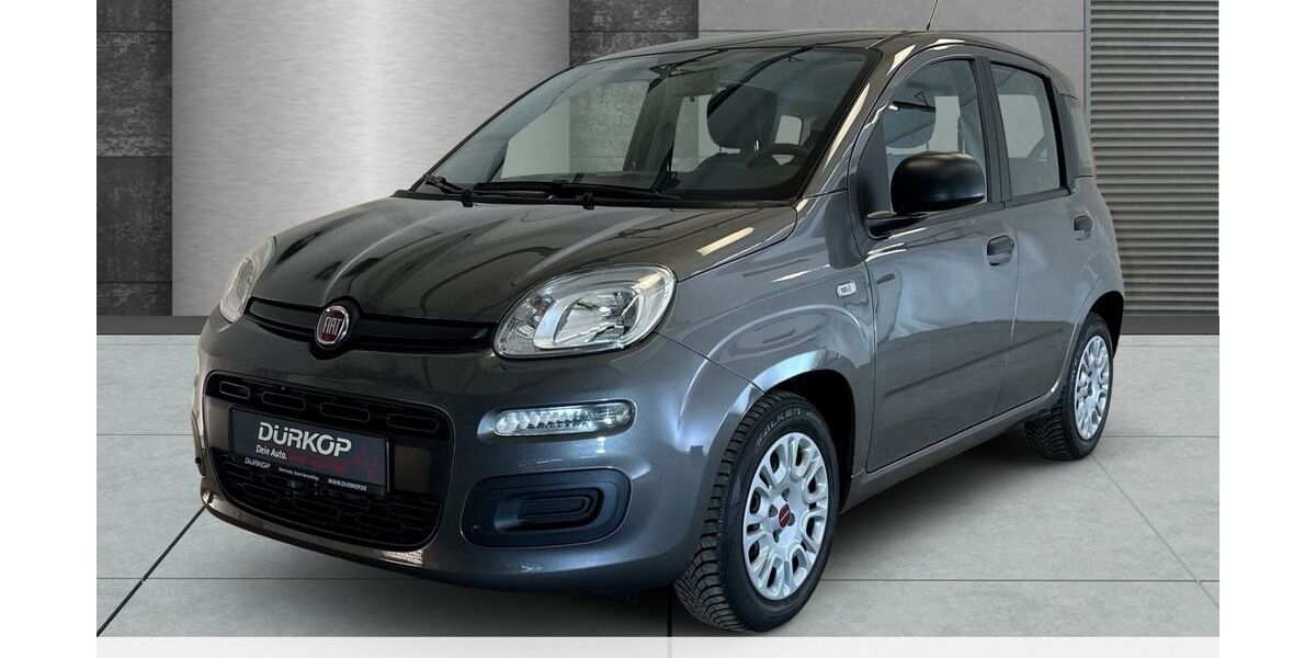 Fiat Panda 46.027 km 9.850 &euro; Braunschweig 38126