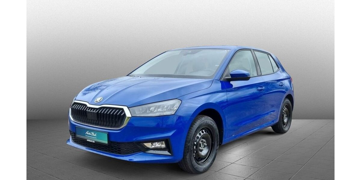 Skoda Fabia 9.900 km 19.890 &euro; Diez 65582