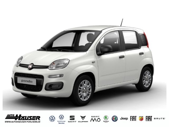 Fiat Panda 6.000 km 14.495 &euro; Pohlheim 35415