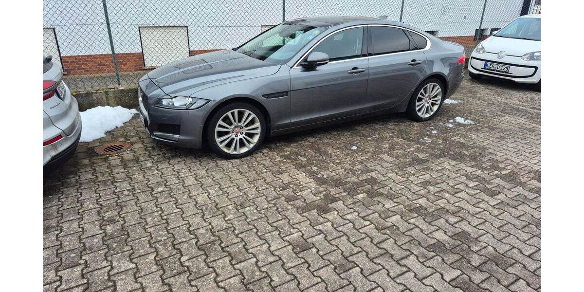 Jaguar XF 291.800 km 10.472 &euro; Babenhausen 64832