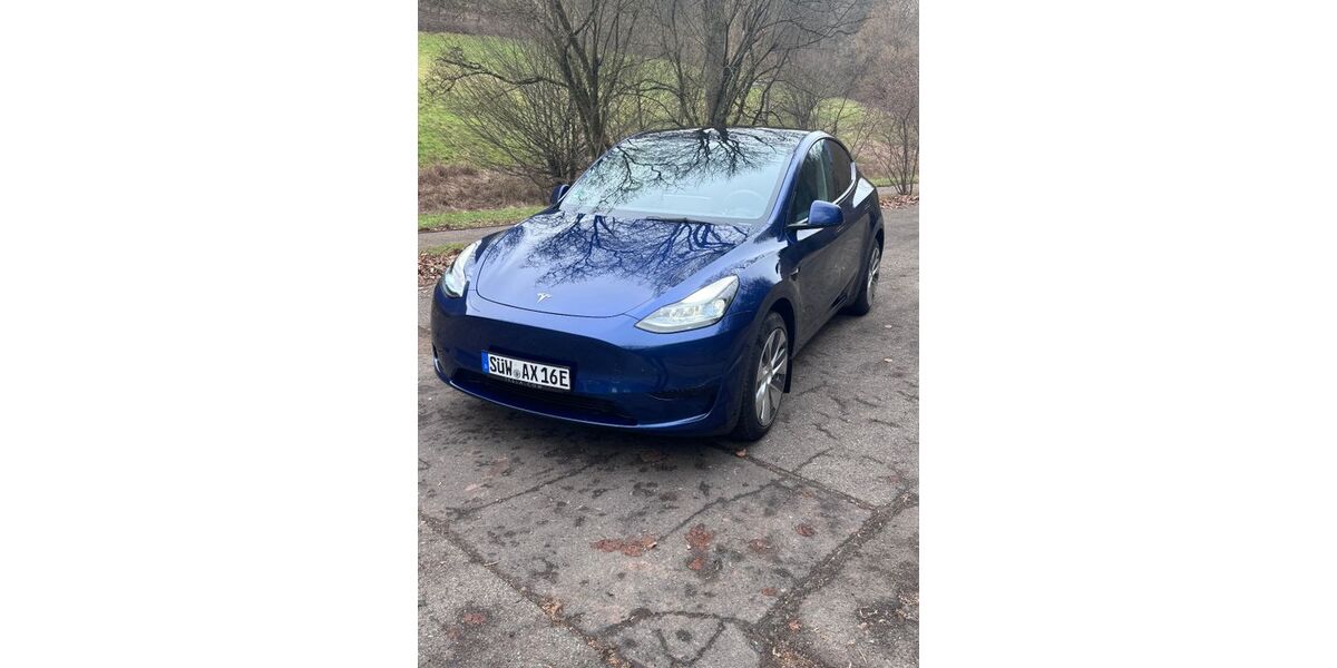 Tesla Model Y 58.000 km 31.600 &euro; Annweiler 76855