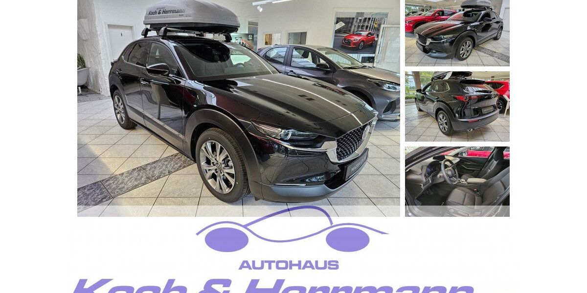 Mazda CX-30 4.008 km 33.790 &euro; Köthen 06366
