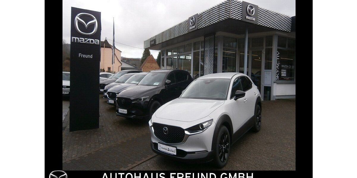 Mazda CX-30 4.050 km 27.690 &euro; Fischbach bei Dahn 66996