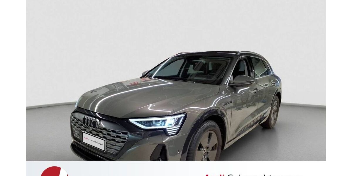 Audi Q8 e-tron 30.386 km 59.540 &euro; Neutraubling 93073