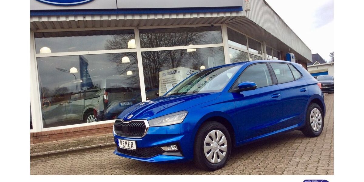 Skoda Fabia 2.300 km 21.390 &euro; Schacht-Audorf 24790