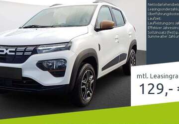 Dacia Spring 16.832 km 13.490 &euro; Borken 46325