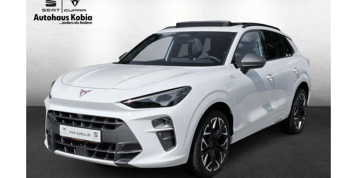 Cupra Terramar 15.800 km 52.890 &euro; Sinsheim 74889