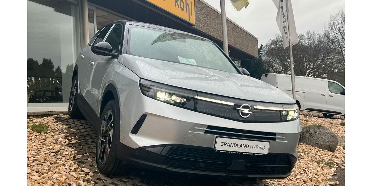 Opel Grandland (X) 2.200 km 34.600 &euro; Bürstadt 68642