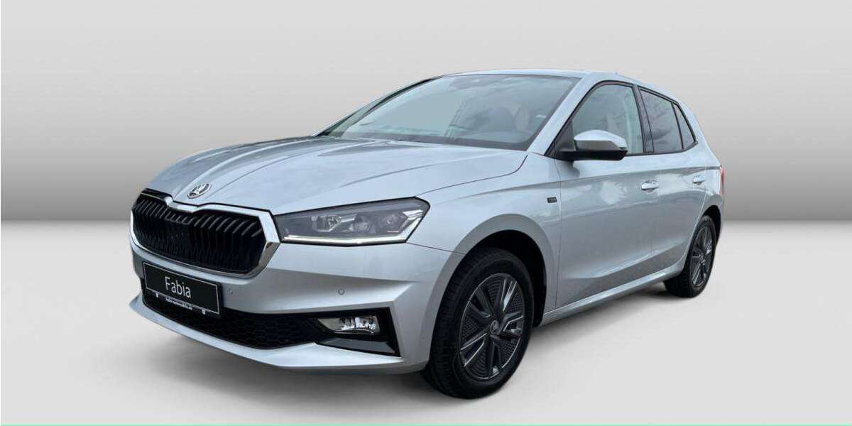 Skoda Fabia 1.111 km 20.000 &euro; Weinstadt 71384