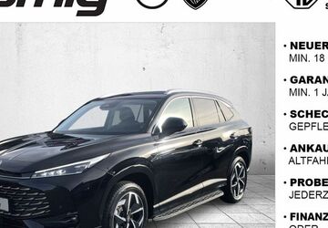 MG HS 3.000 km 33.490 &euro; Hof 95030