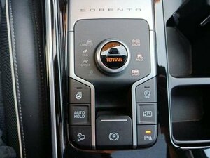 Kia SORENTO 2.2D AWD DCT8 PLAT NAPPA GD|AHK 62.080 km 36.460 &euro; Höhenkirchen-Siegertsbrun 85635