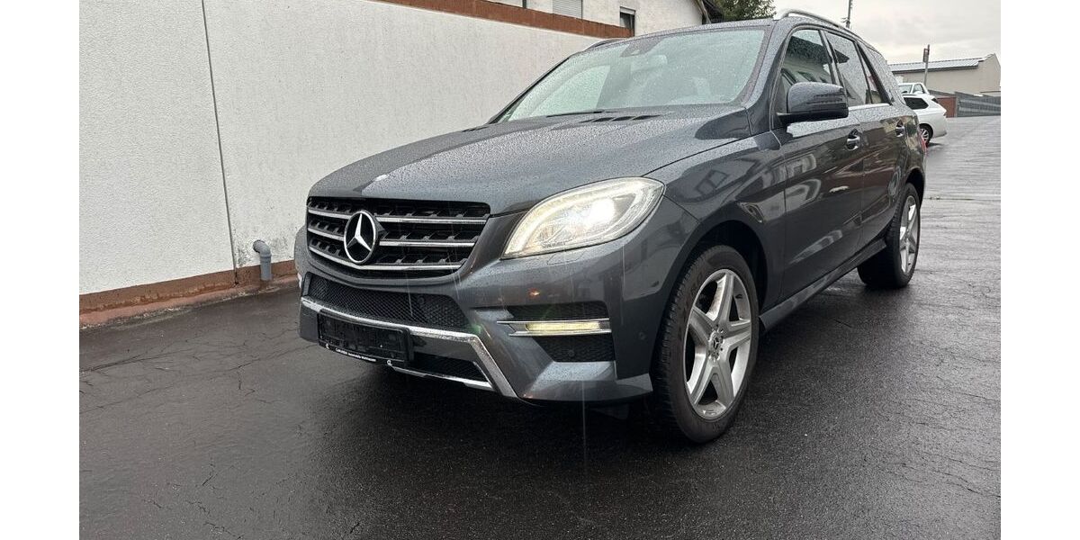 Mercedes-Benz ML 350 155.560 km 15.000 &euro; Selb 95100