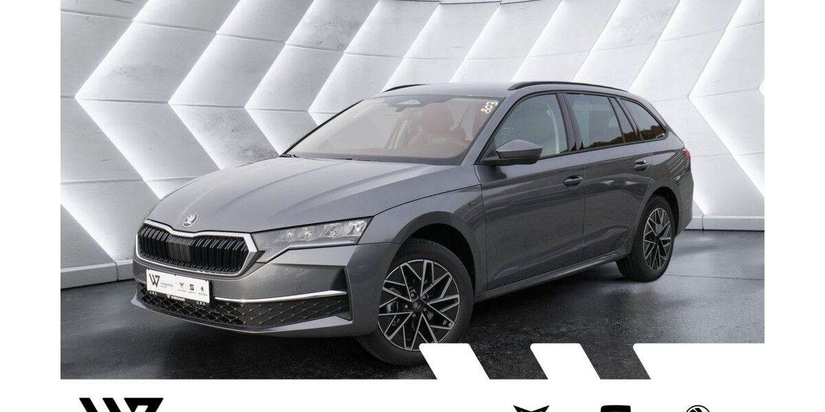 Skoda Octavia 1.500 km 37.590 &euro; Gelnhausen 63571